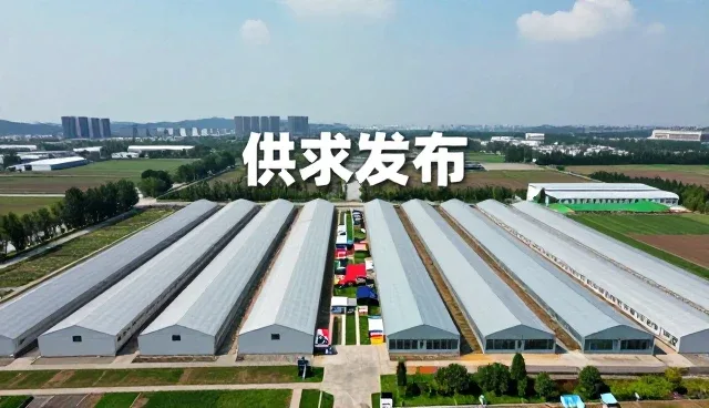 供求发布服务中常见问题及应对策略